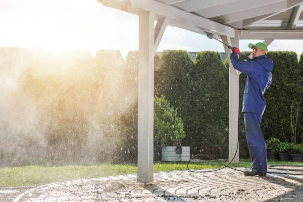 Animal Enclosure Cleaning in Valinda, CA